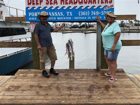 Deep sea headquarters - Deep Sea Headquarters has a variety of tours available for year-round booking. Bring family and friends to enjoy fishing, wildlife, and more. Captain Kelly. 440 W. COTTER RD. Port Aransas, Texas 78373. 361-749-5597 